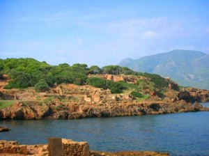 Histoire pour les jeunes - Sainte Salsa, martyrs d'Algérie