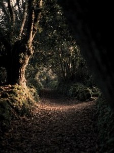 Récit pour la fête de Pâques - sentier de Cadoudal - Locoal-Mendon