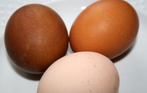 Récit pour la Catéchèse des jeunes - œufs de Pâques colorés