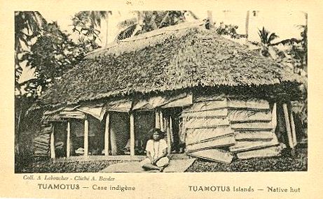 Ile de Tuamotu - Hutte - Polynésie française