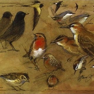 Le conte des oiseaux de la crèche