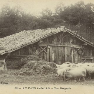 Papa, maman, racontez-moi une histoire - bergerie