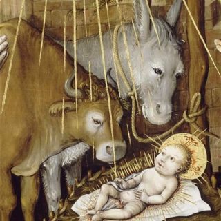 Légende des animaux de Noel : Sous le regard du boeuf et de l'âne